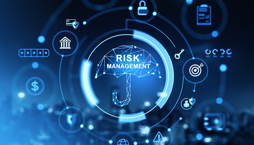 Risk Management System